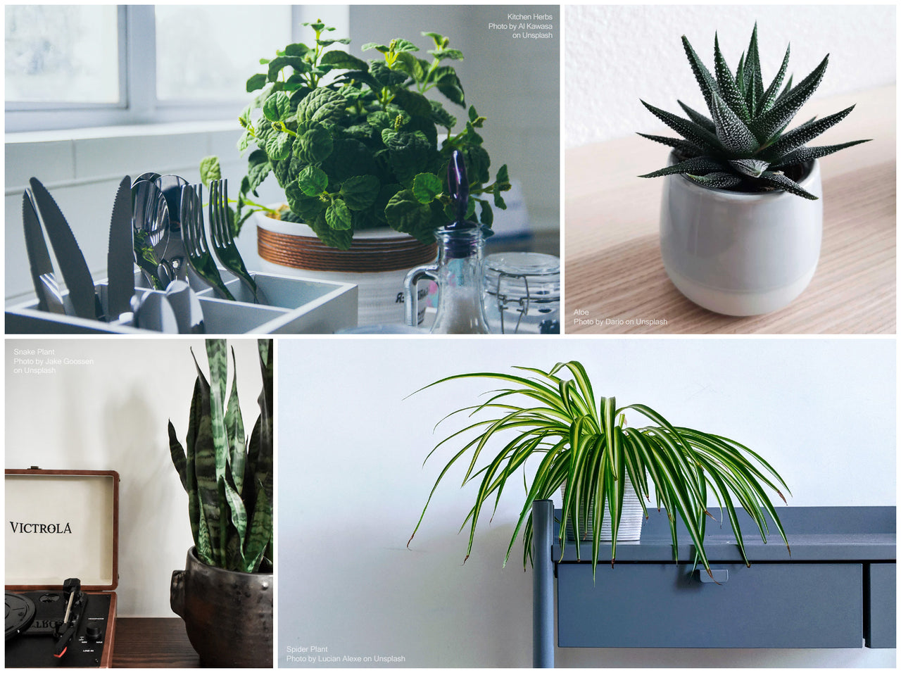 For Black Friday Cyber Monday weekend - Keep calm and clean on - 6 steps to keep your home cosy and indoor air fresh